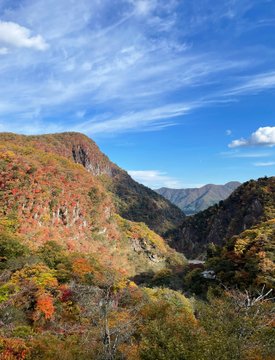 中禅寺湖菖蒲ヶ浜キャンプ場で湖畔キャンプ