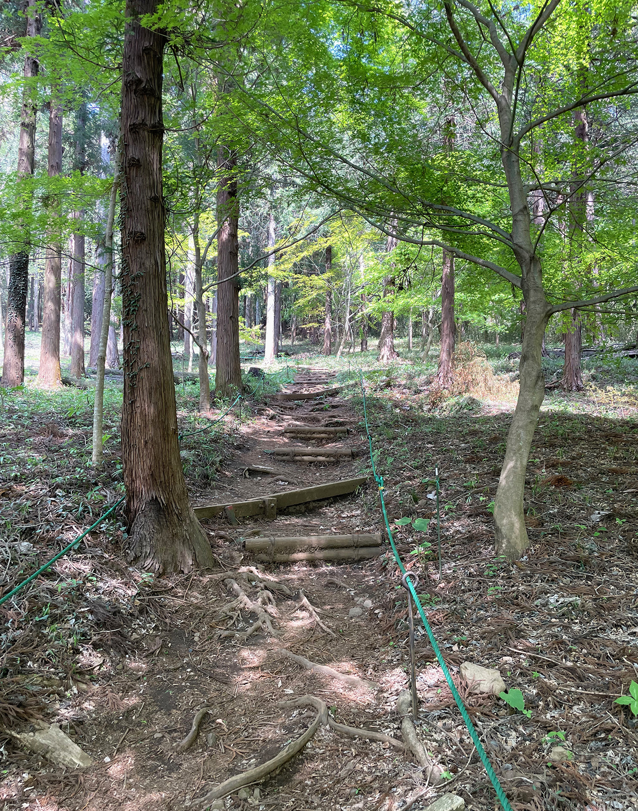 津久井湖城山公園城山津久井城を目指す登山道