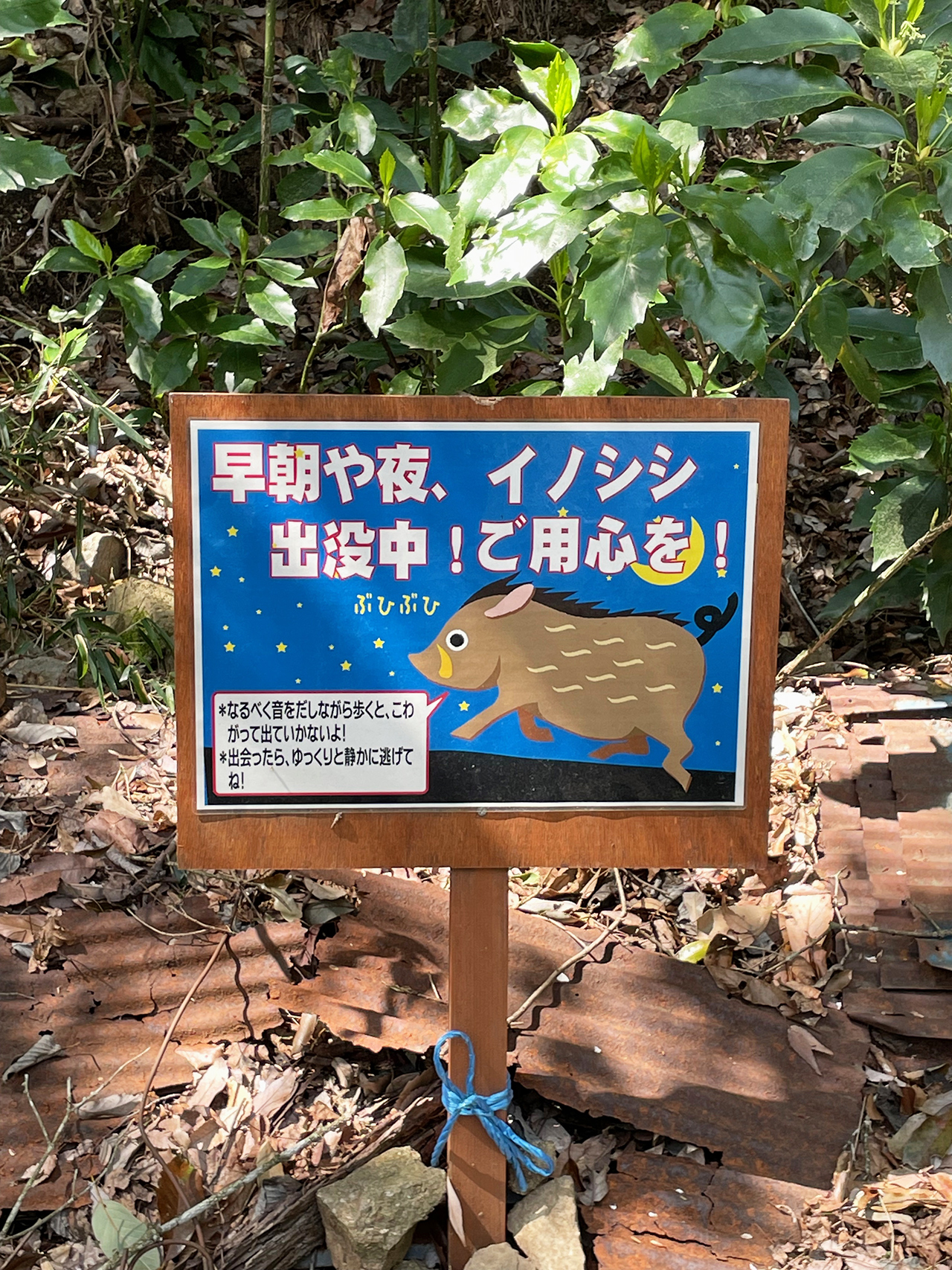 津久井湖城山公園城山津久井城登山道途中にあるイノシシ注意の看板