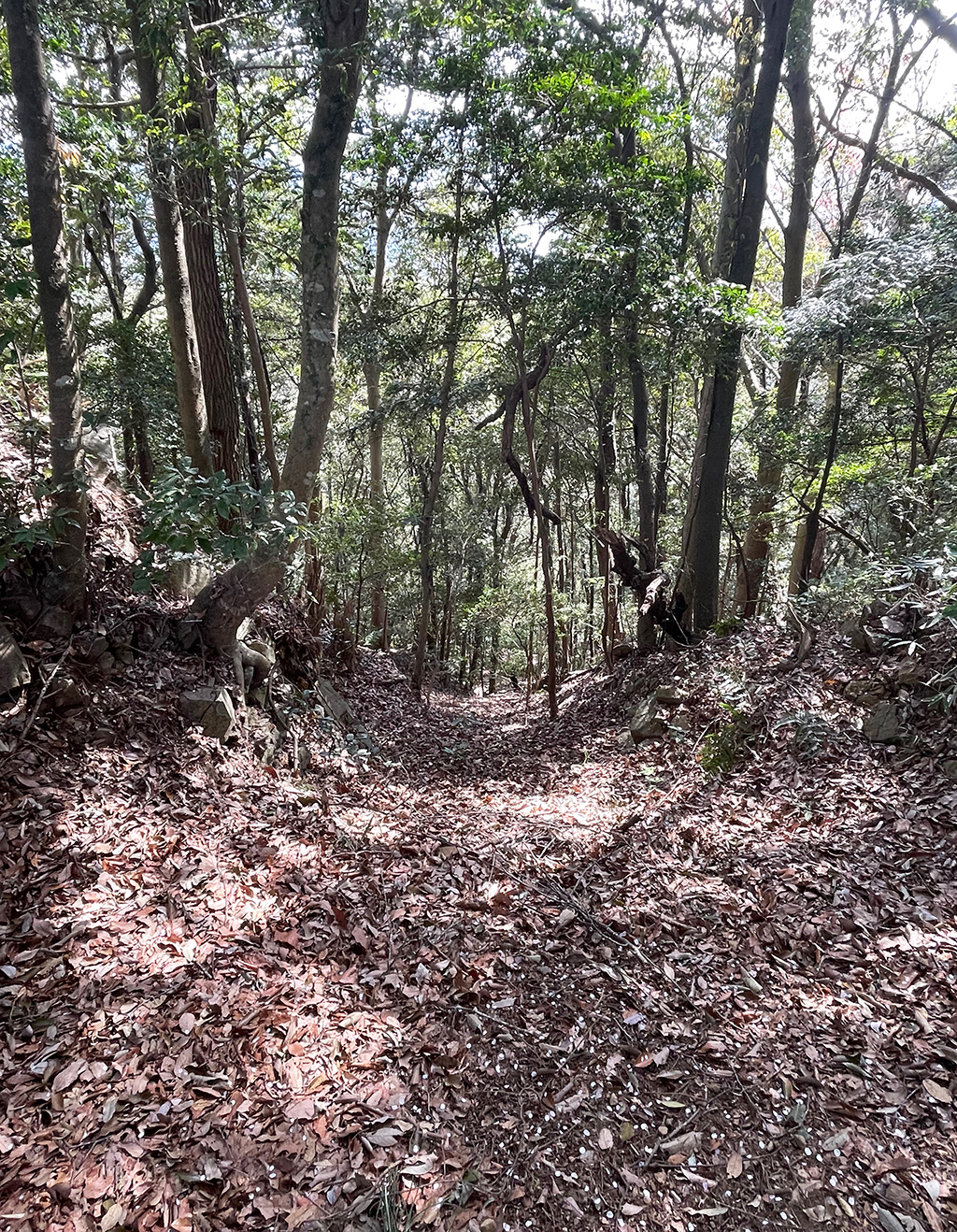 津久井湖城山公園城山津久井城の堀切