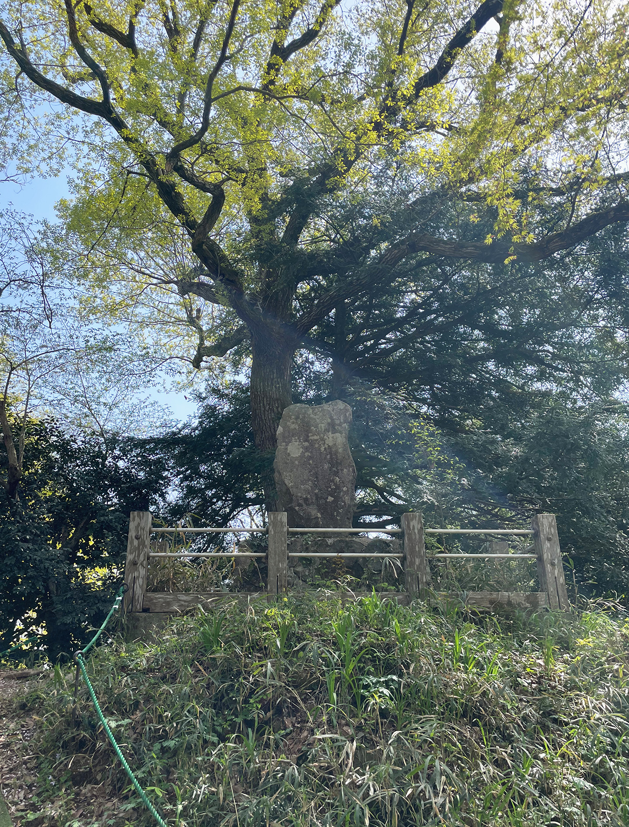 津久井湖城山公園城山津久井城城山頂上に到着