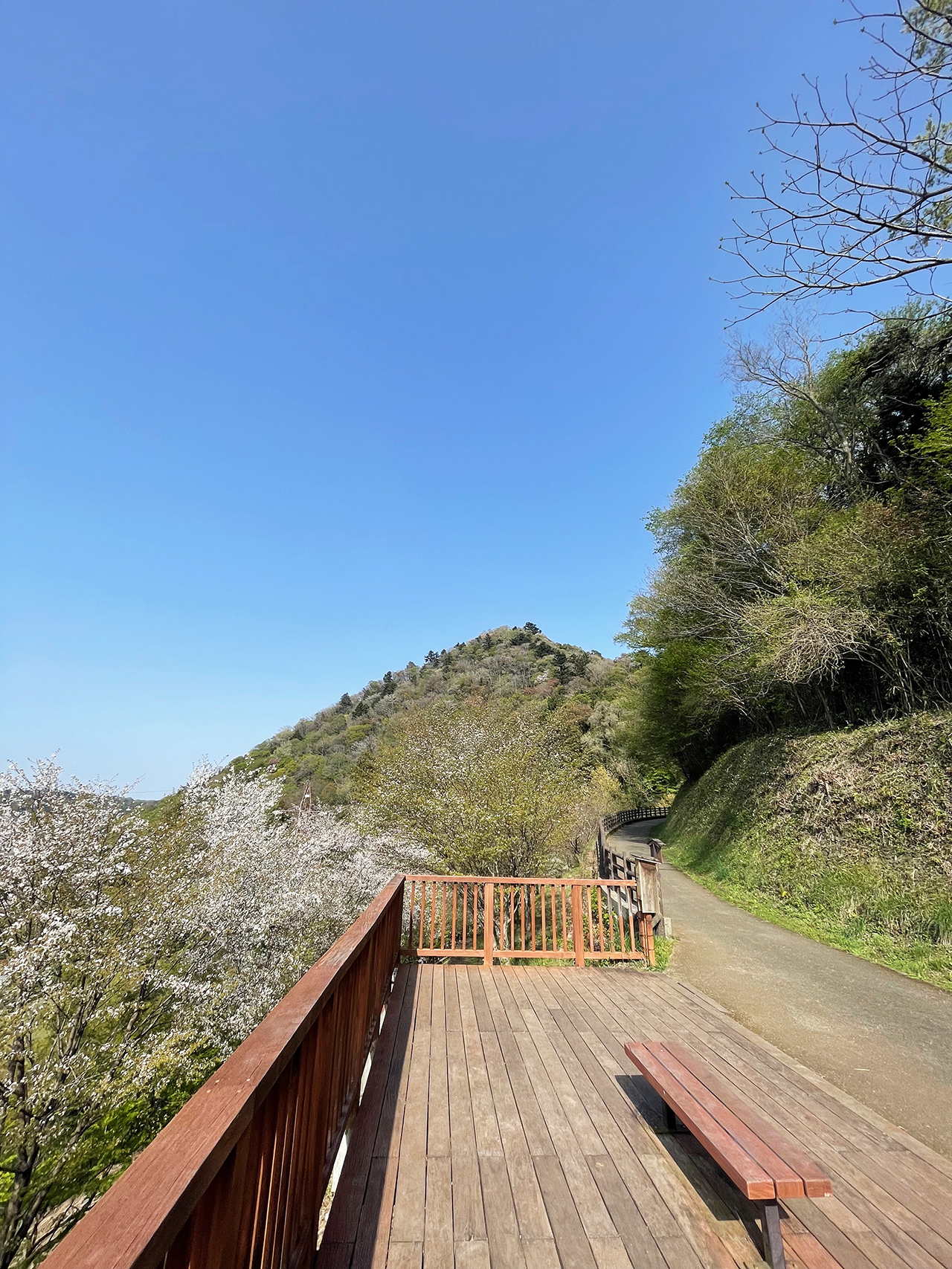 津久井湖城山公園城山津久井城の展望台