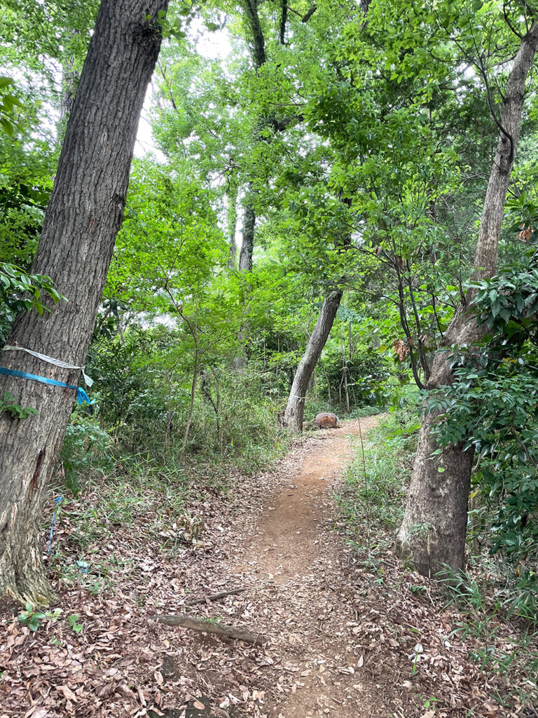 鳶尾山ハイキングコース山道