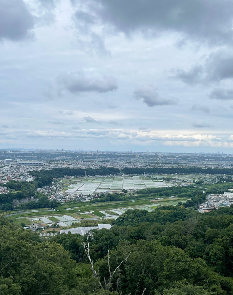 鳶尾山ハイキングコース展望台から外の様子都心方面