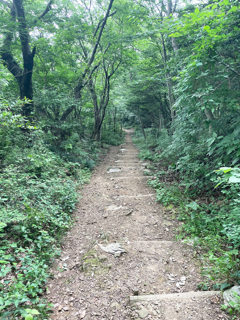 鳶尾山ハイキングコース展望台から山道