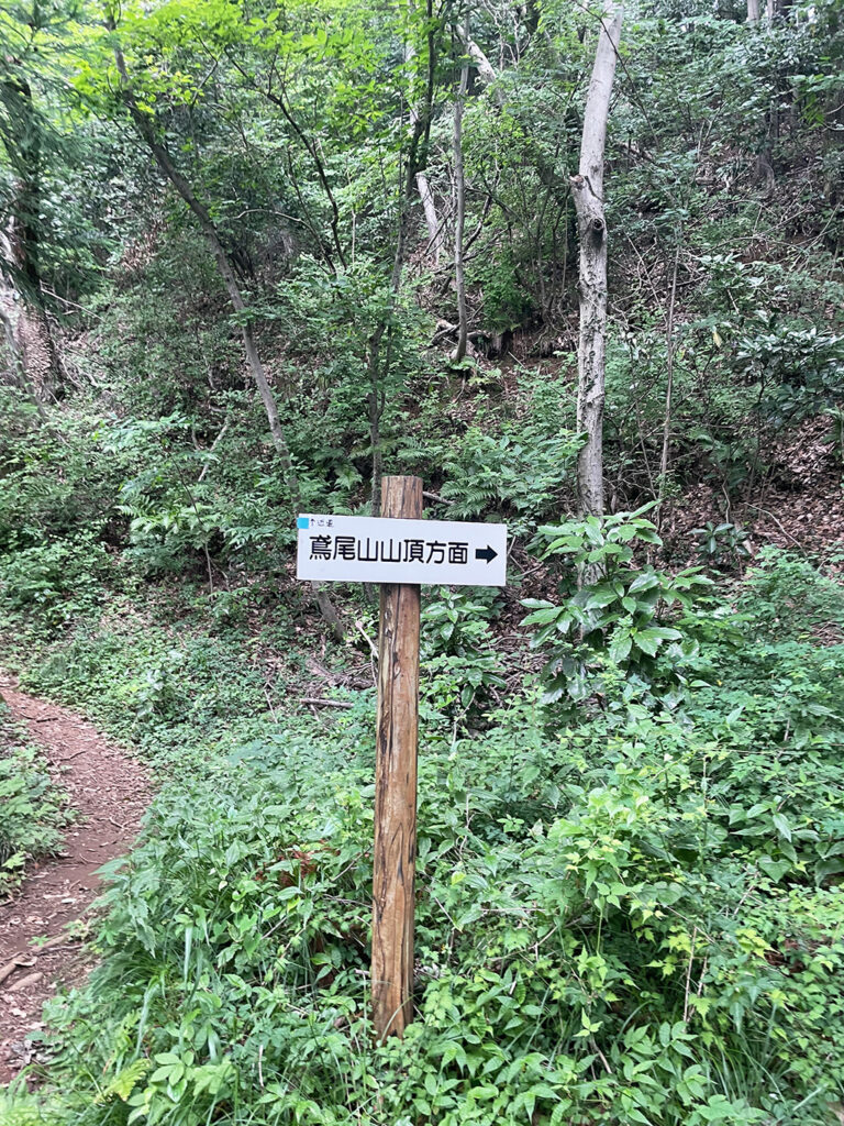 鳶尾山ハイキングコース山頂方面看板