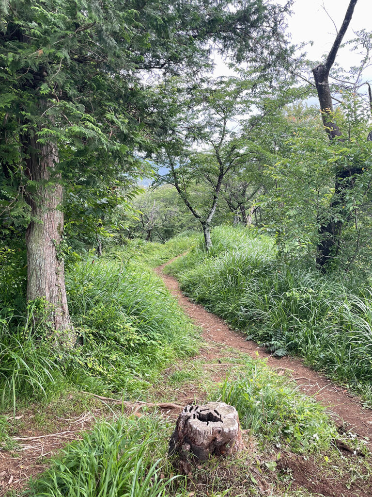 鳶尾山ハイキング山頂から下山