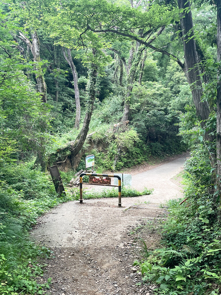 鳶尾山ハイキングやなみ峠