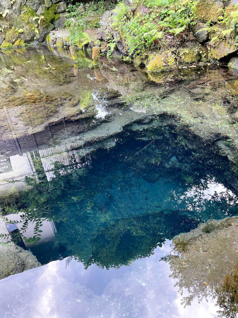 忍野八海