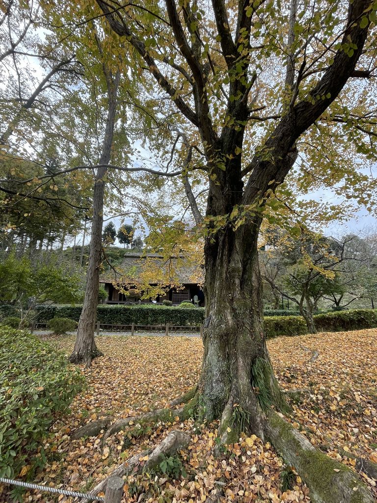 釜の淵公園の旧宮崎家住宅の横