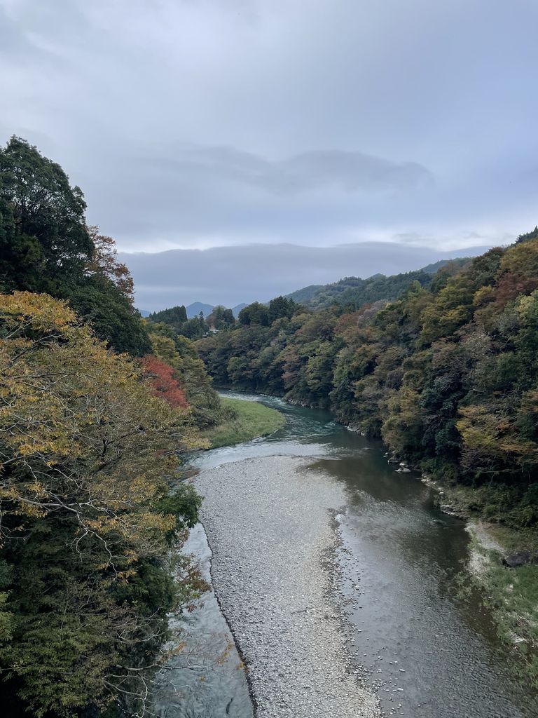 多摩川の紅葉