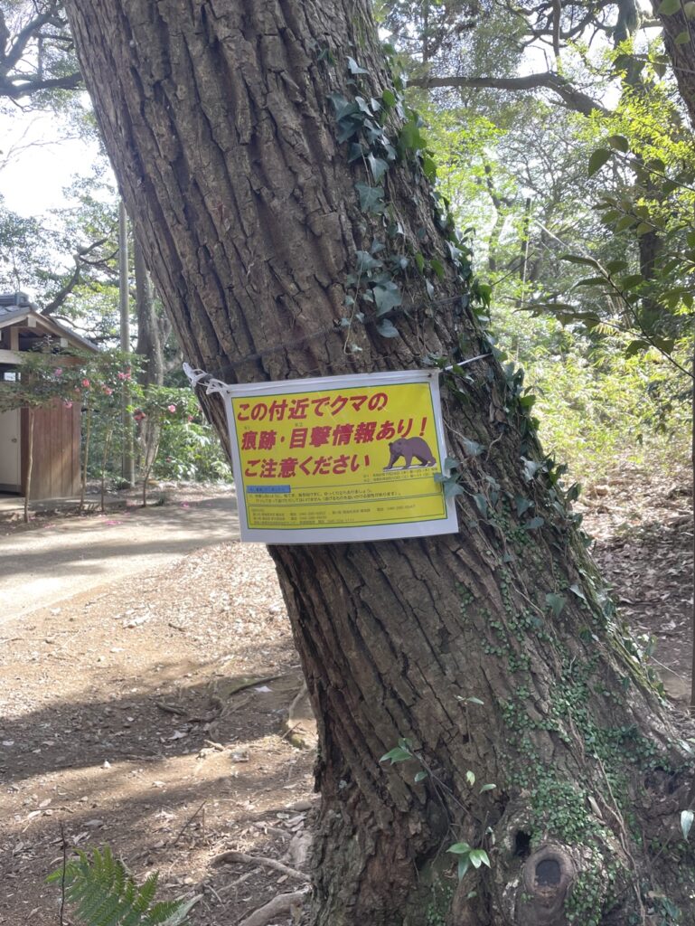 熊情報