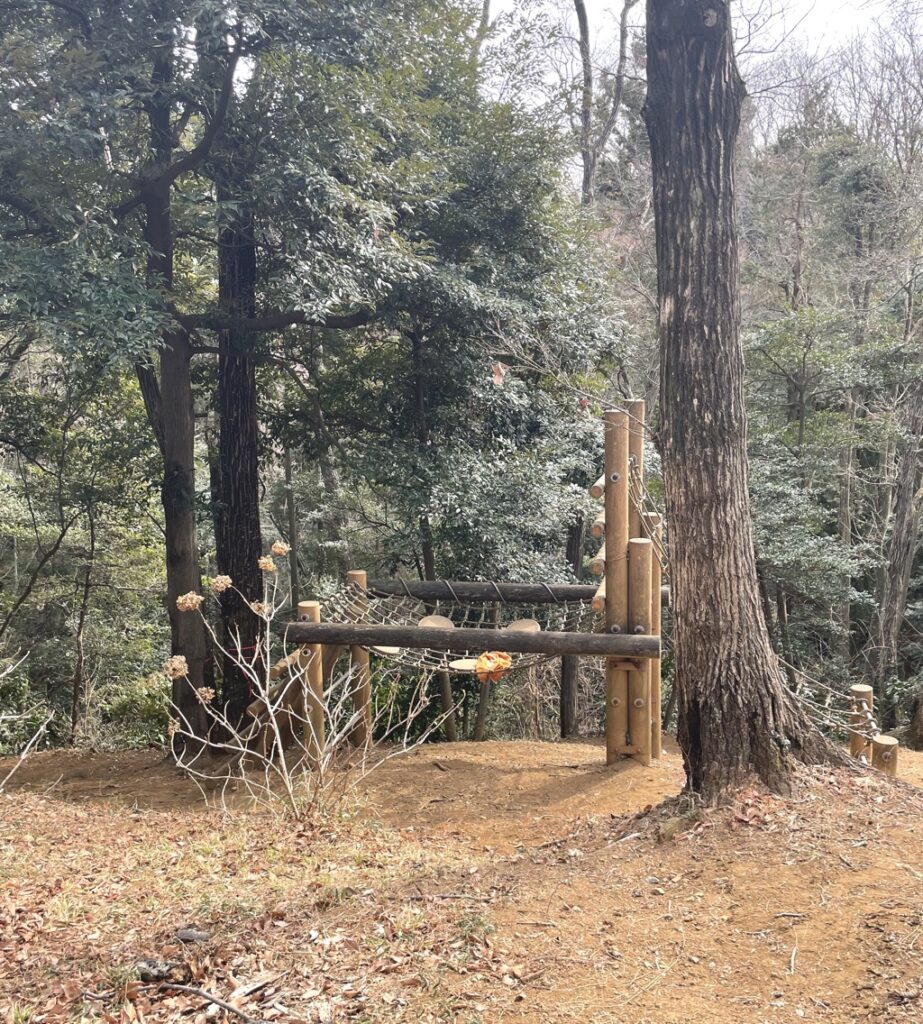 八管山の山道2