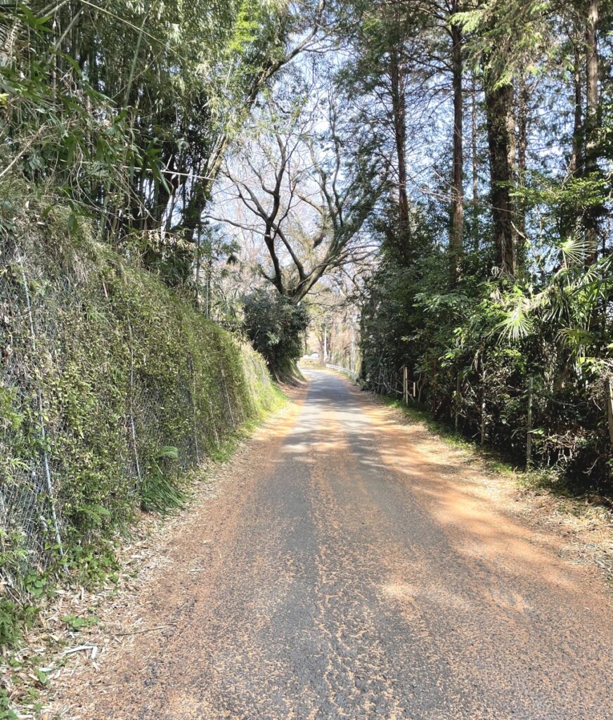 八菅神社前の坂2
