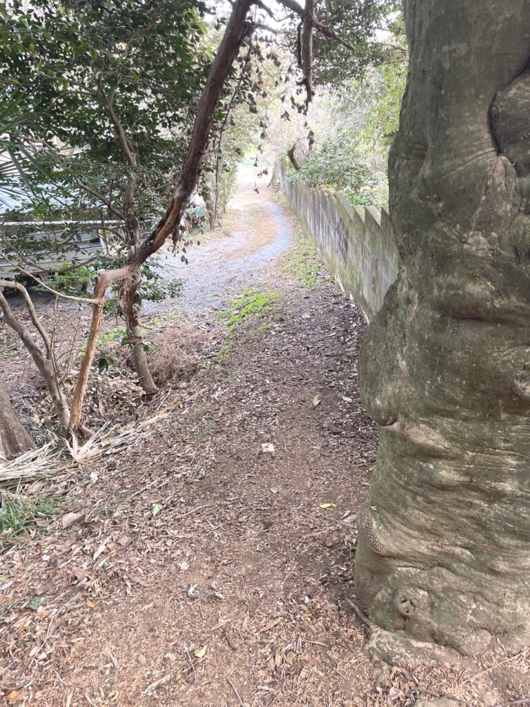 私道を抜ける2