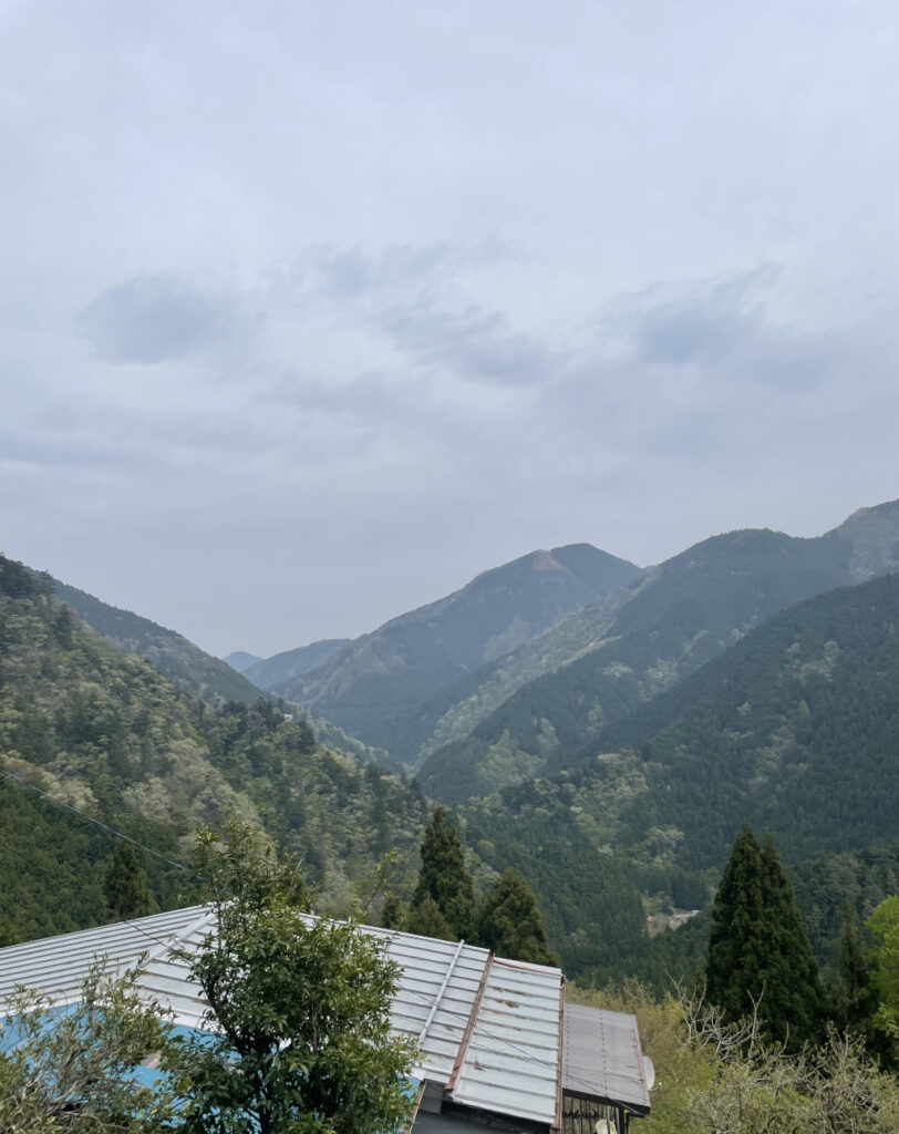 奥多摩むかし道からの風景